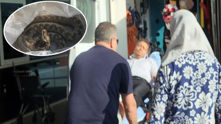 Ailesi ile pikniğe gitti dehşeti yaşadı! Engerek yılanı ayağını ısırdı