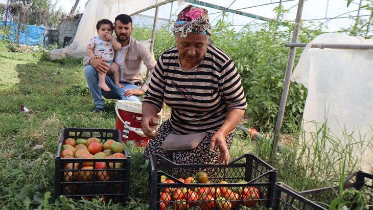Emekli olduktan sonra memleketine dönüp üretime başladı: 'Borçla kurdum, 3 aile geçindiriyorum'