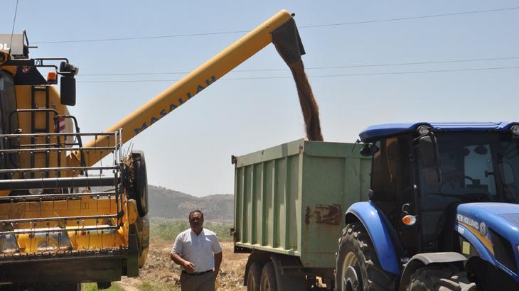 Gaziantep’te arpa ve buğday hasadı devam ediyor