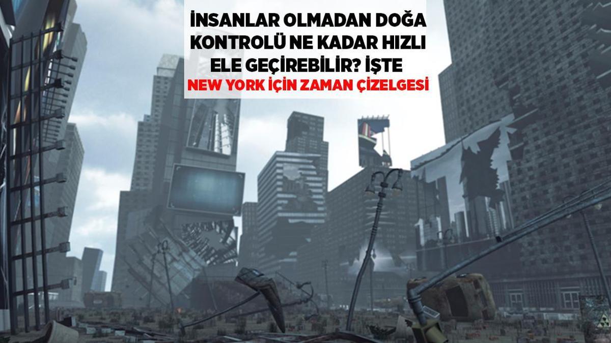 SON DAKİKA HABERLERİ: İNSANLAR ORTADAN YOK OLURSA DOĞA NEW YORK'U NE KADAR ZAMANDA ELE GEÇİRİR?
