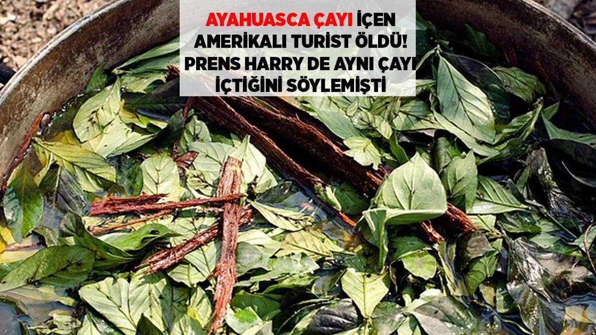 SON DAKİKA HABERLERİ: PRENS HARRY'NİN DE İÇTİĞİNİ SÖYLEDİĞİ AYAHUASCA ÇAYI BİR TURİSTİN ÖLÜMÜNE YOL AÇTI