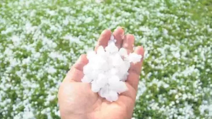 SON DAKİKA! Meteoroloji uyarmıştı! Bir anda her taraf beyaza büründü! Ekinler zarar gördü